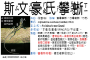 RE003020005 斯文豪氏攀蜥、肚定（台語）、竹虎