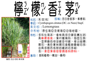012-095 檸檬香茅、西印度香茅、檸檬草