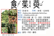142-068 食茱萸、 茱萸、 越椒 、紅刺蔥 、刺江某 、辣子