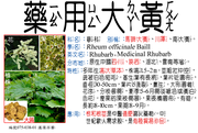 075-038-01 藥用大黃、馬蹄大黃、將軍、川軍、南大黃