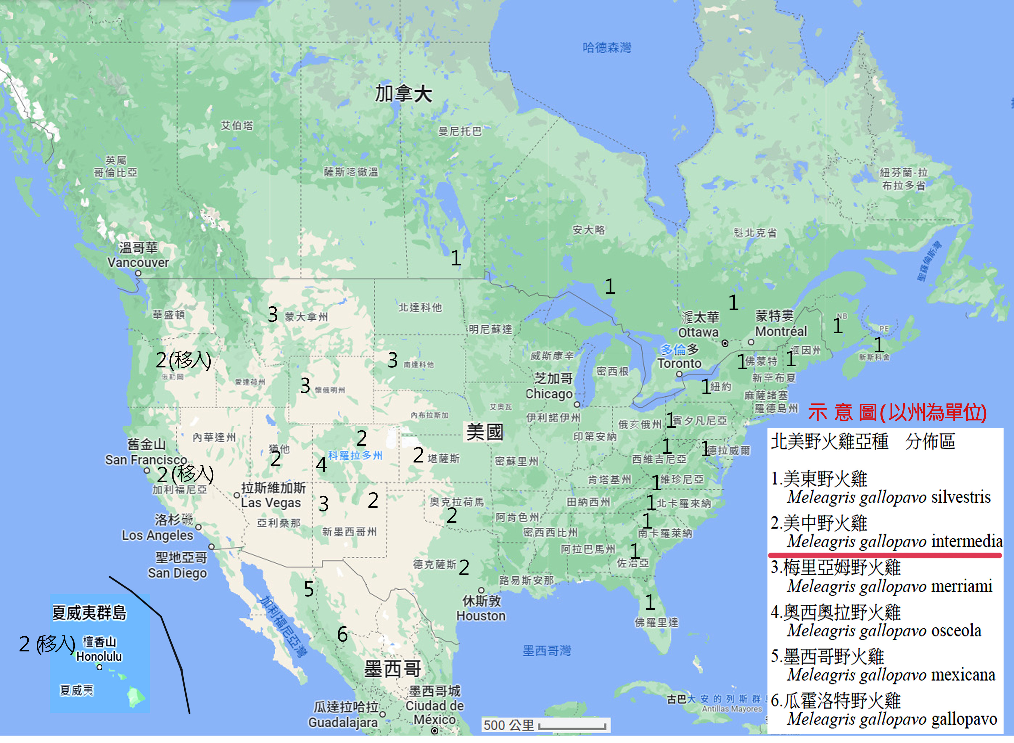 美中野火雞分布示意圖