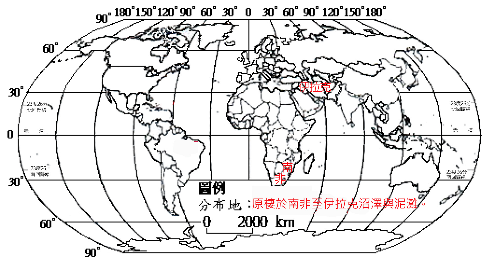 埃及聖䴉