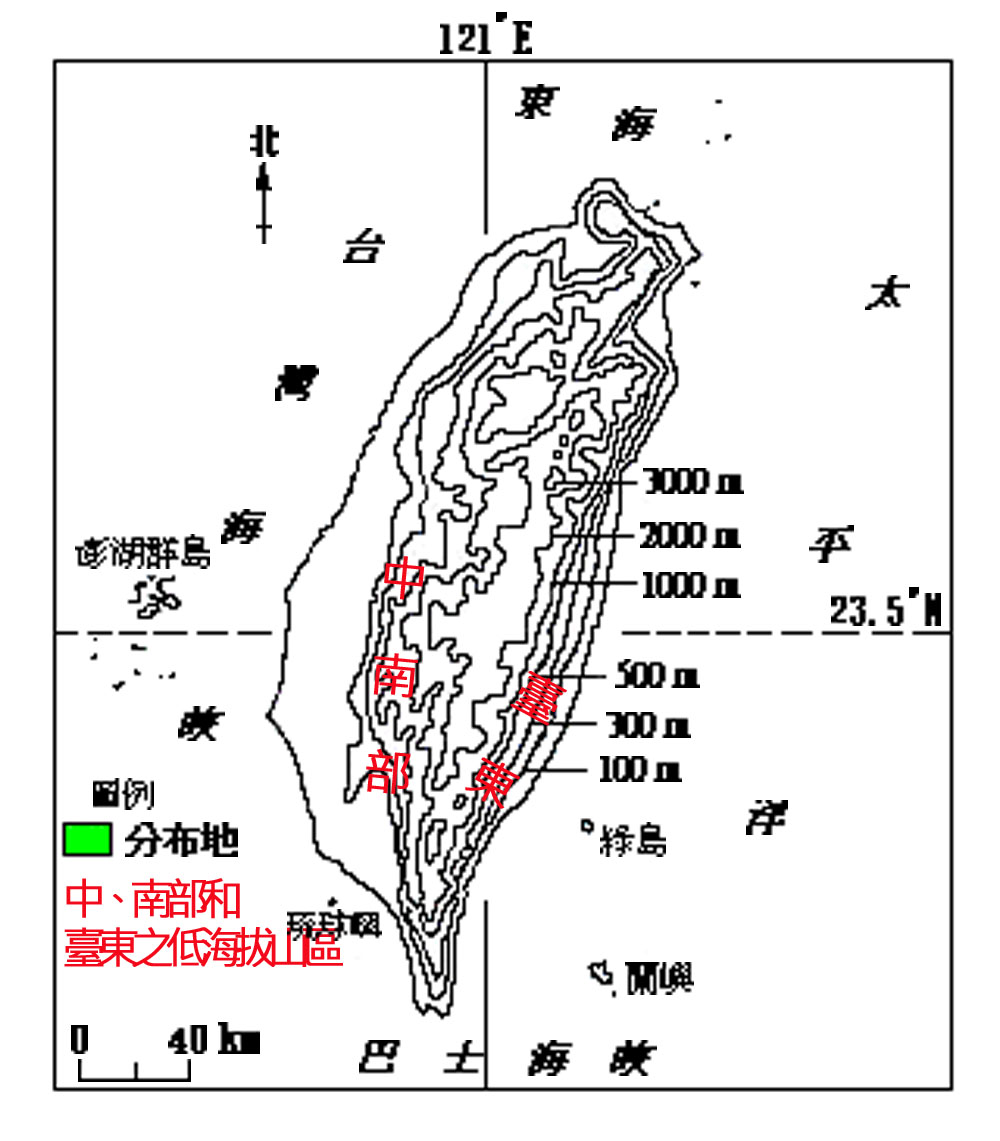圖名：IN001002OP001臺灣綠貓蛛
