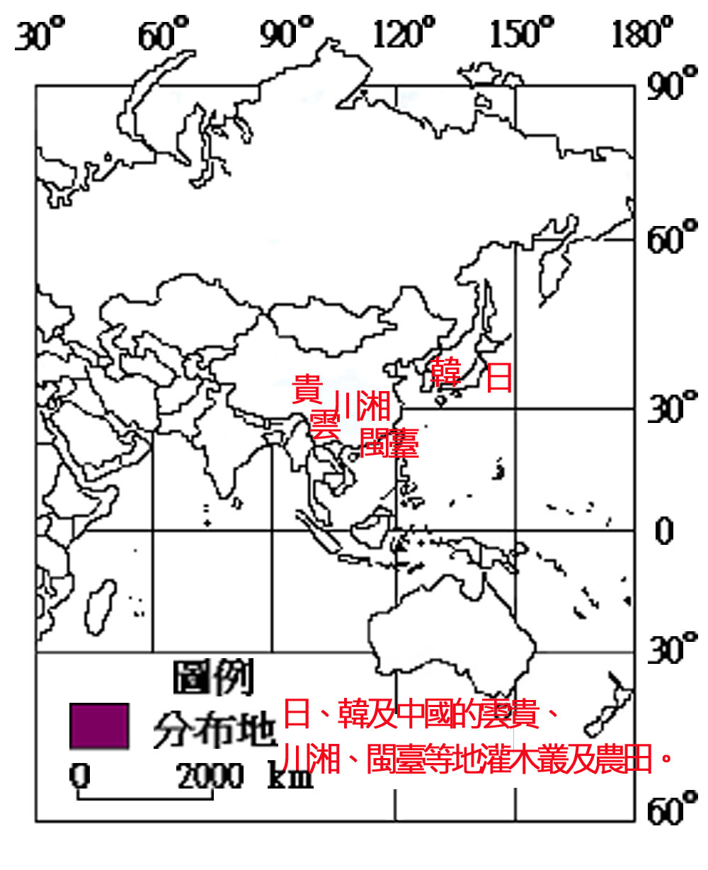 IN001002AC001鳥糞蛛