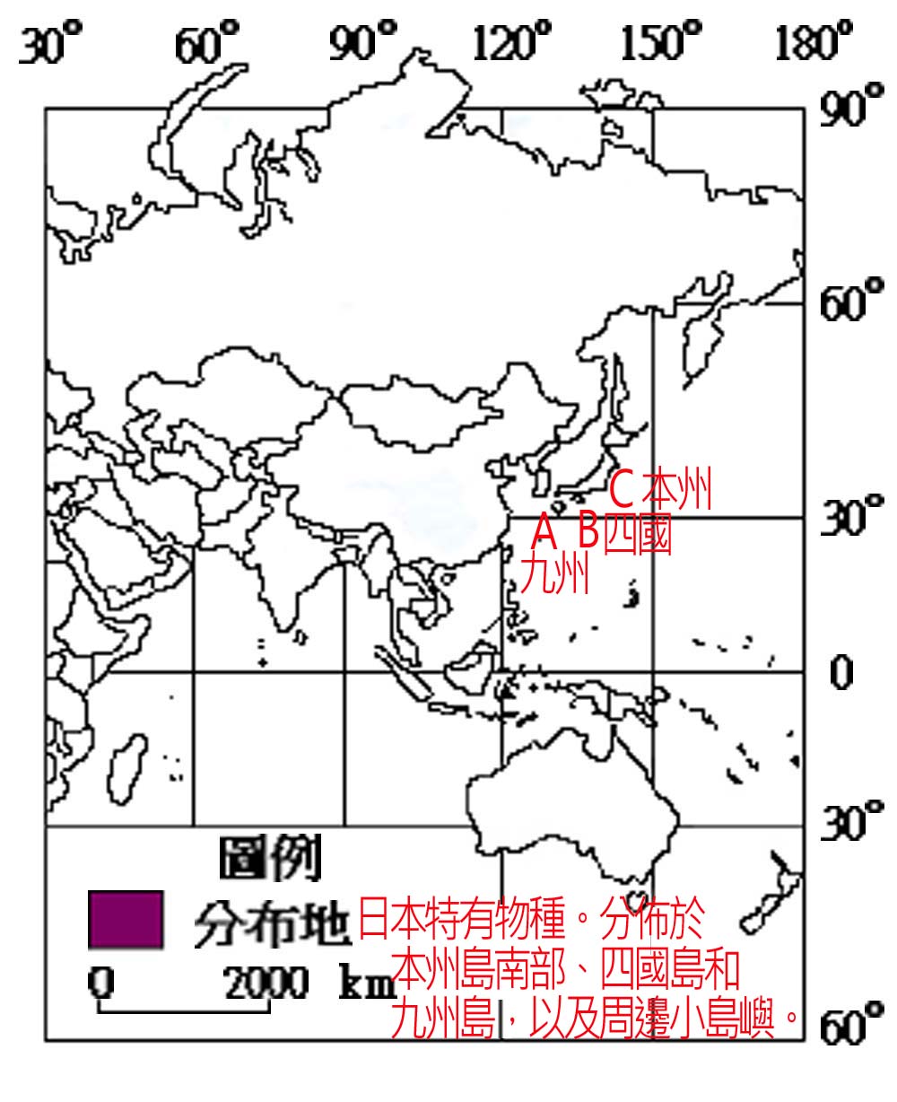 RE001003005日本石龜