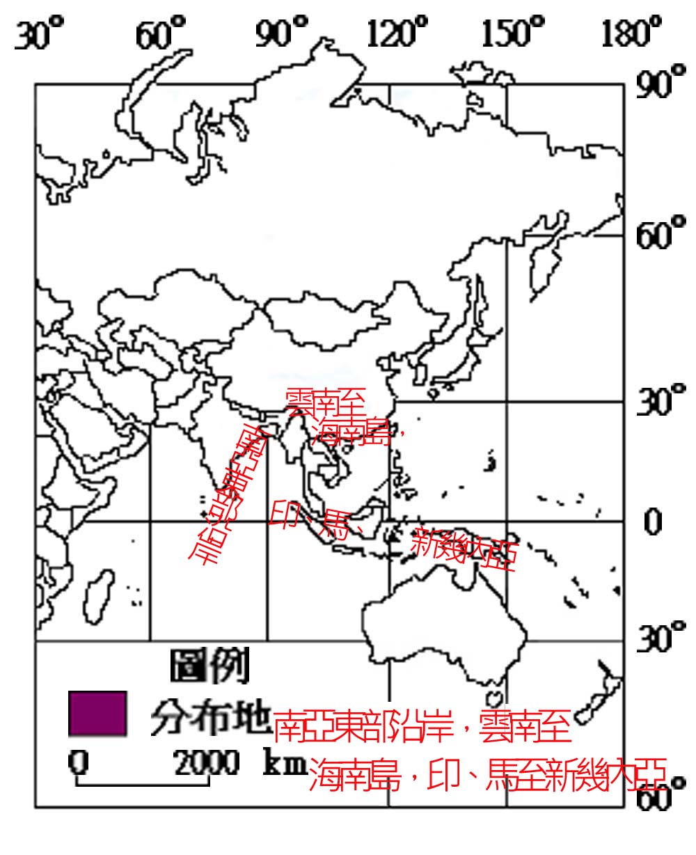 RE002106001澤巨蜥