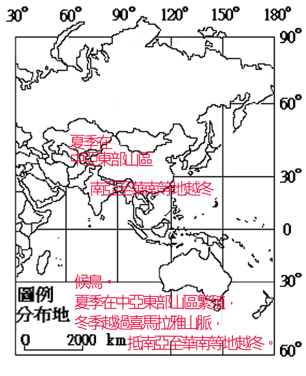  AVFC01-006-01斑頭雁