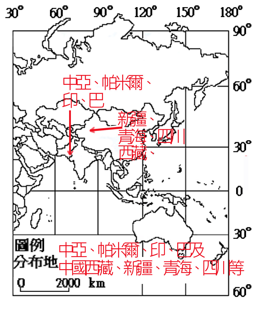 AVWC89-676西藏毛腿沙雞