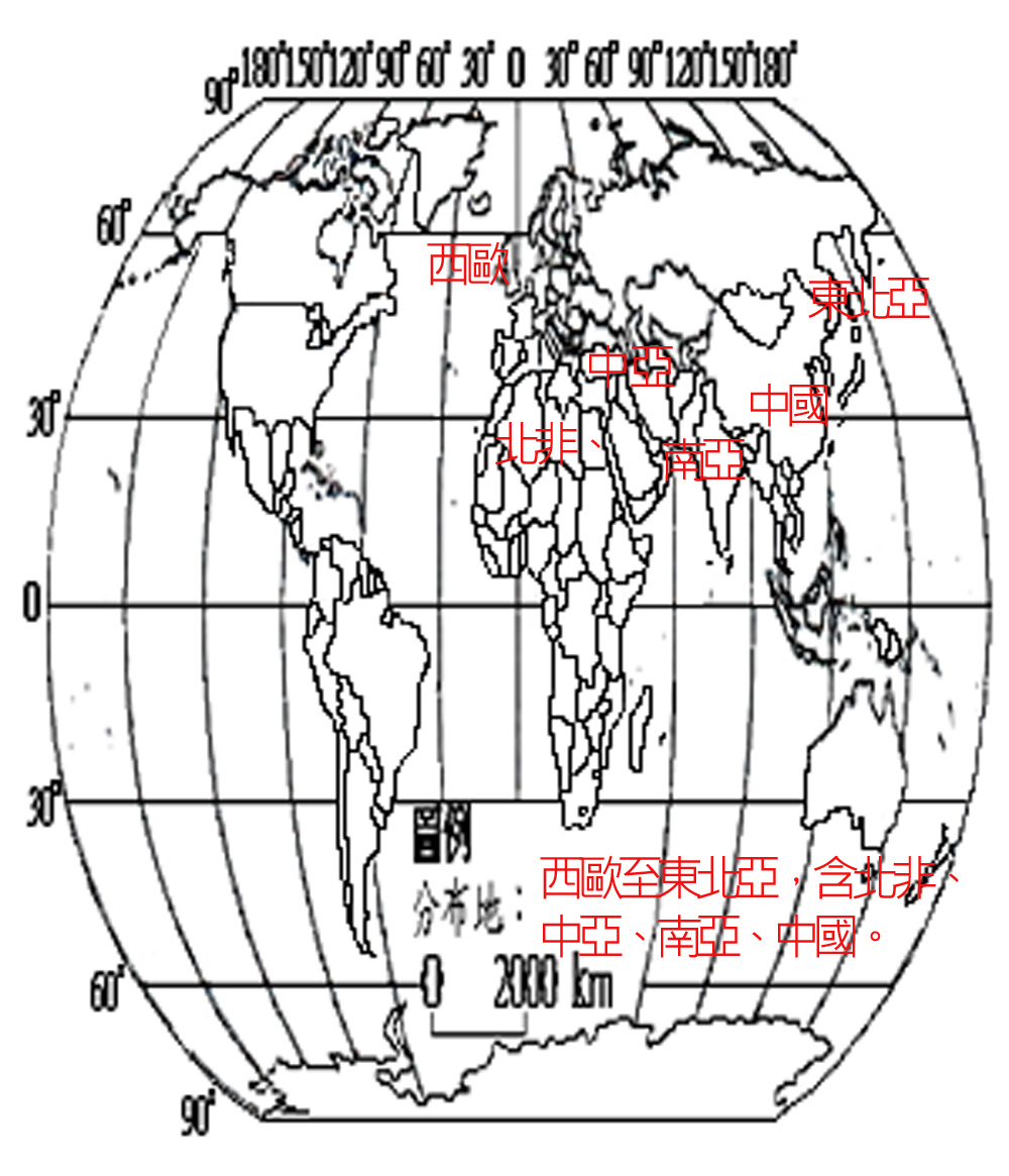 AVUC51-398 小嘴烏鴉