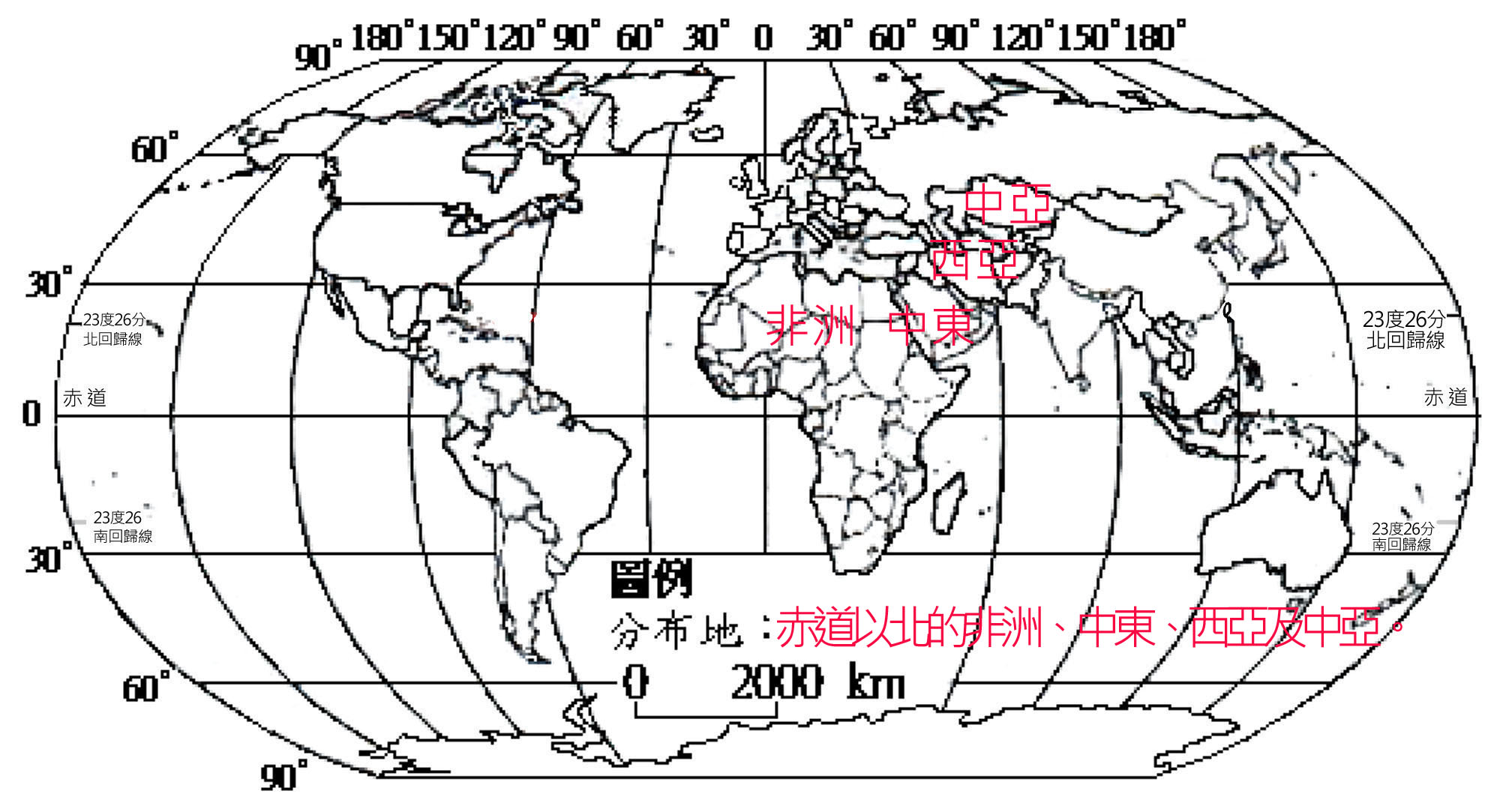 AVUC51-396-02褐頸渡鴉