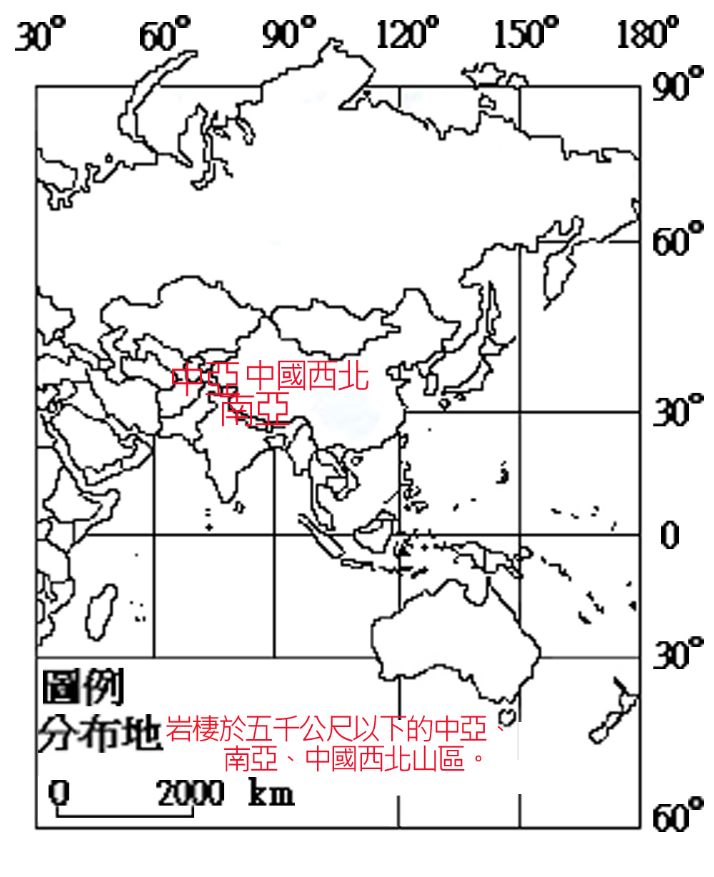 MA024012001P005雪豹