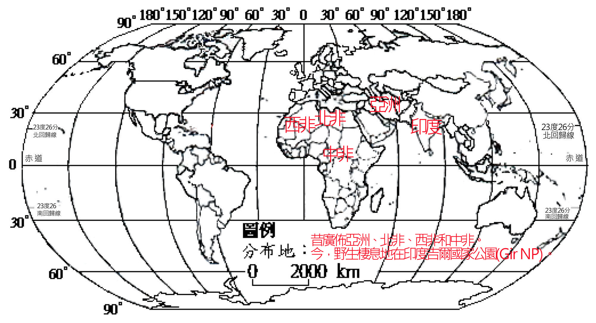 MA024012001P001-01北方獅 