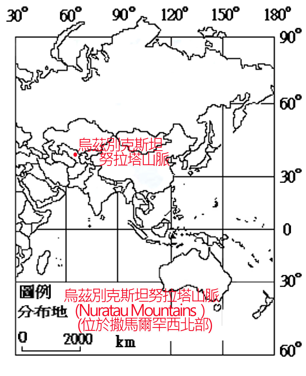 MA022009007-01s烏茲別克盤羊