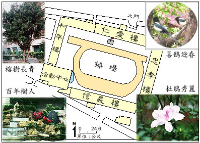 臺北市東門國小校園景觀圖