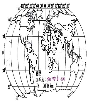 落地生根主要分布地