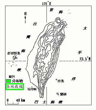 落地生根