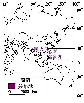 相思樹主要分布地