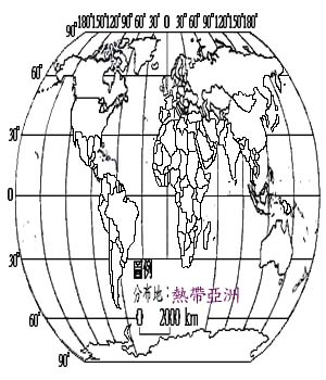 黃脈刺桐主要分布地