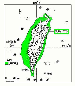 田菁