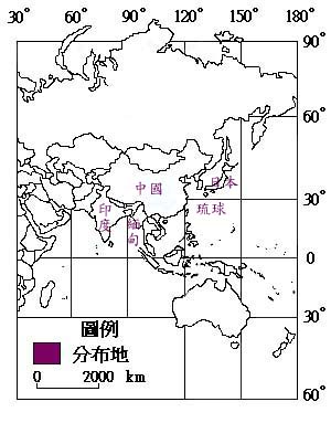 苦楝主要分布地