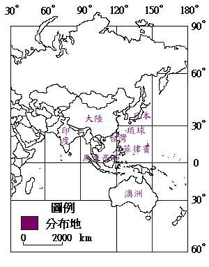 血桐主要分布地