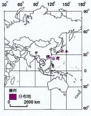 野桐主要分布地