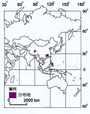 朱槿主要分布地