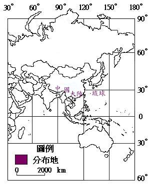 金午時花主要分布地