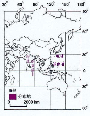 福木主要分布地