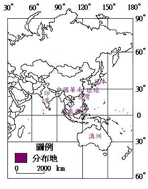 水筆仔主要分布地