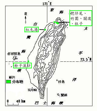 水筆仔