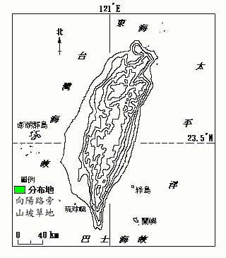 雙蕊鼠尾粟