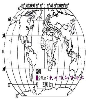 濱箬草主要分布地