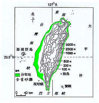 濱箬草