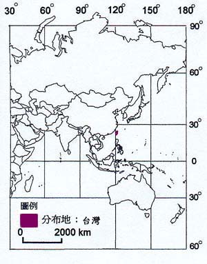 臺灣蘆竹分布地