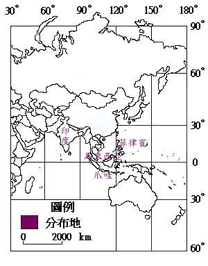 黑板樹主要分布地