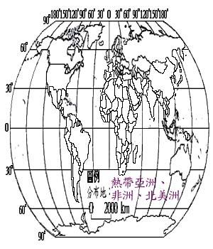 槭葉牽牛花主要分布地