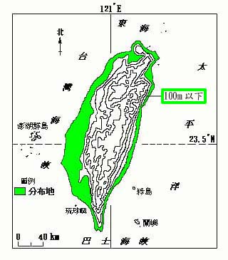 野牽牛