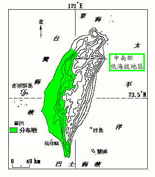 盒果藤