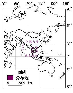 龍船花主要分布地