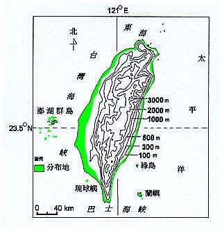 鴨舌