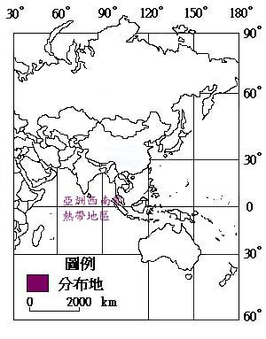 黃水茄主要分布地