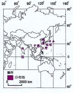 雞屎藤主要分布地