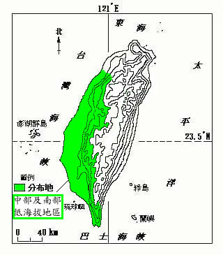 野苦瓜