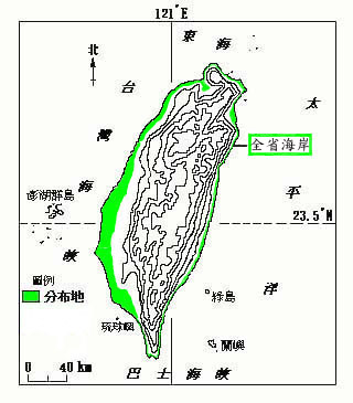 草海桐