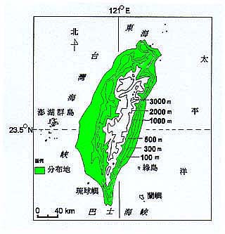 加拿大蓬