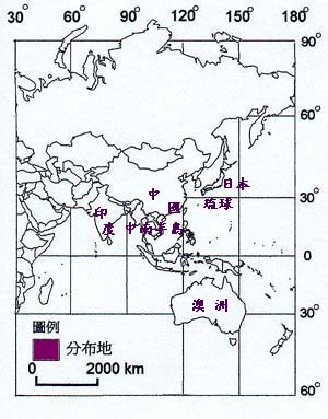 黃鵪菜主要分布地