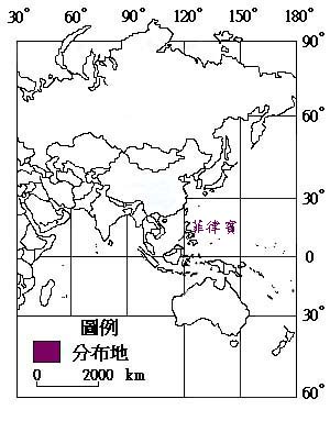 蘭嶼羅漢松主要分布地