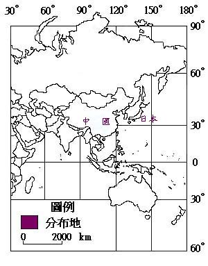 龍柏主要分布地