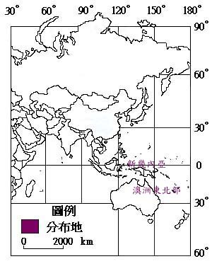 肯氏南洋杉主要分布地